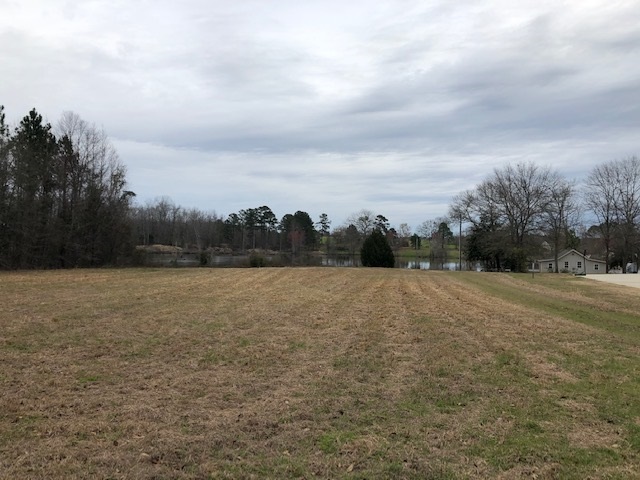 Lot 16 Elizabeth Street Cochran, GA 31014 - Photo 8 of 14