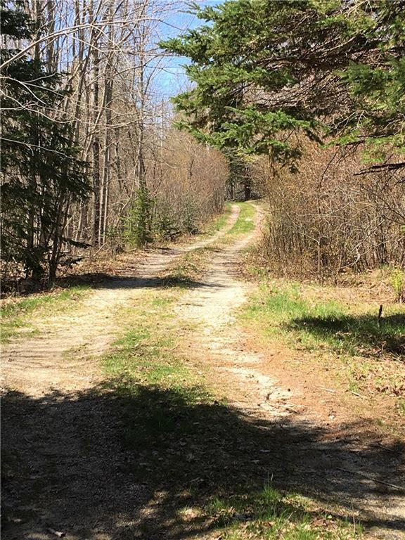 386 Pineo Point Road Harrington, ME 04643 - Photo 34 of 35 This is your long & winding...