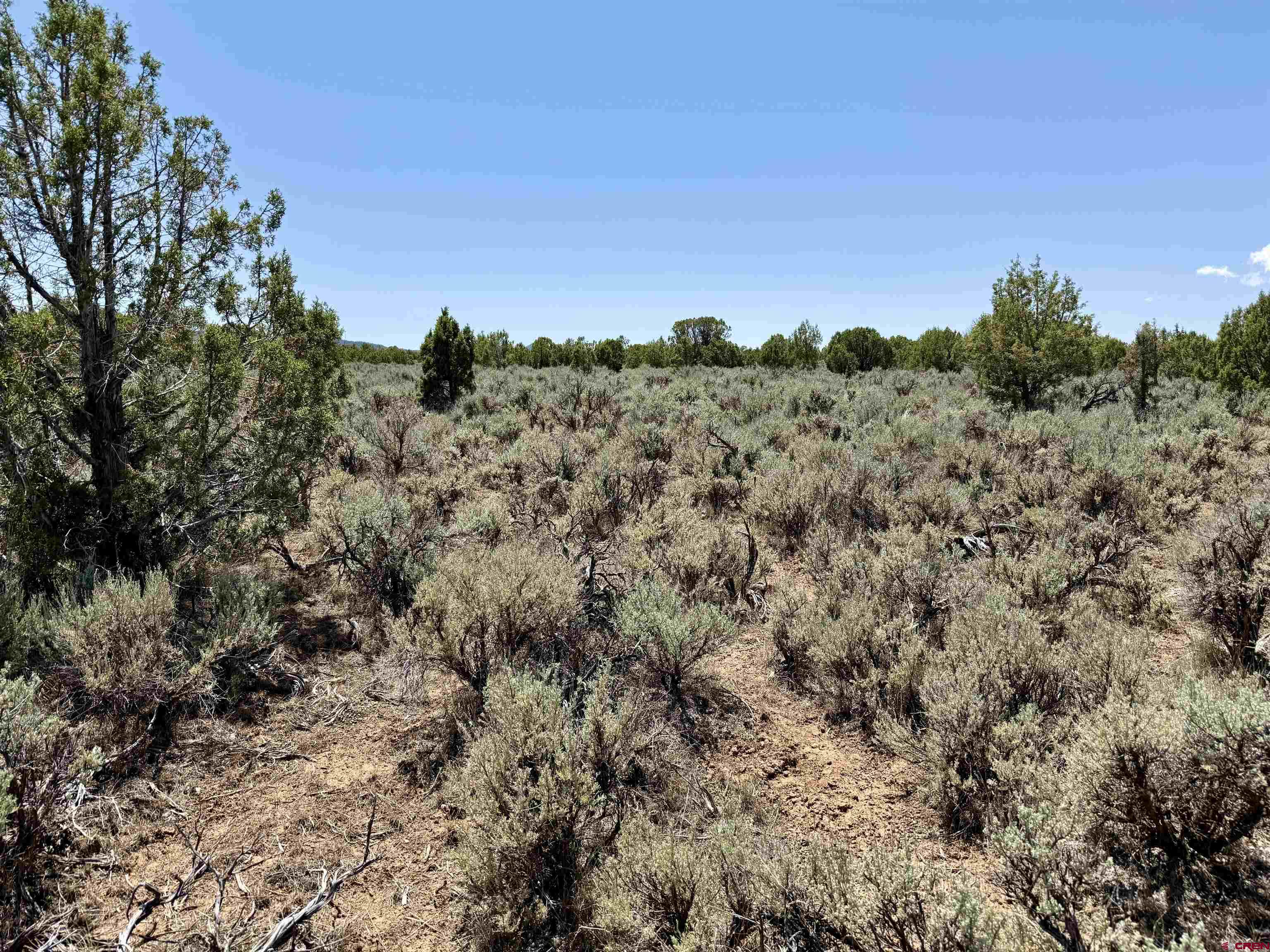 Tbd County Road 306 Parachute, CO 81635 - Photo 17 of 36