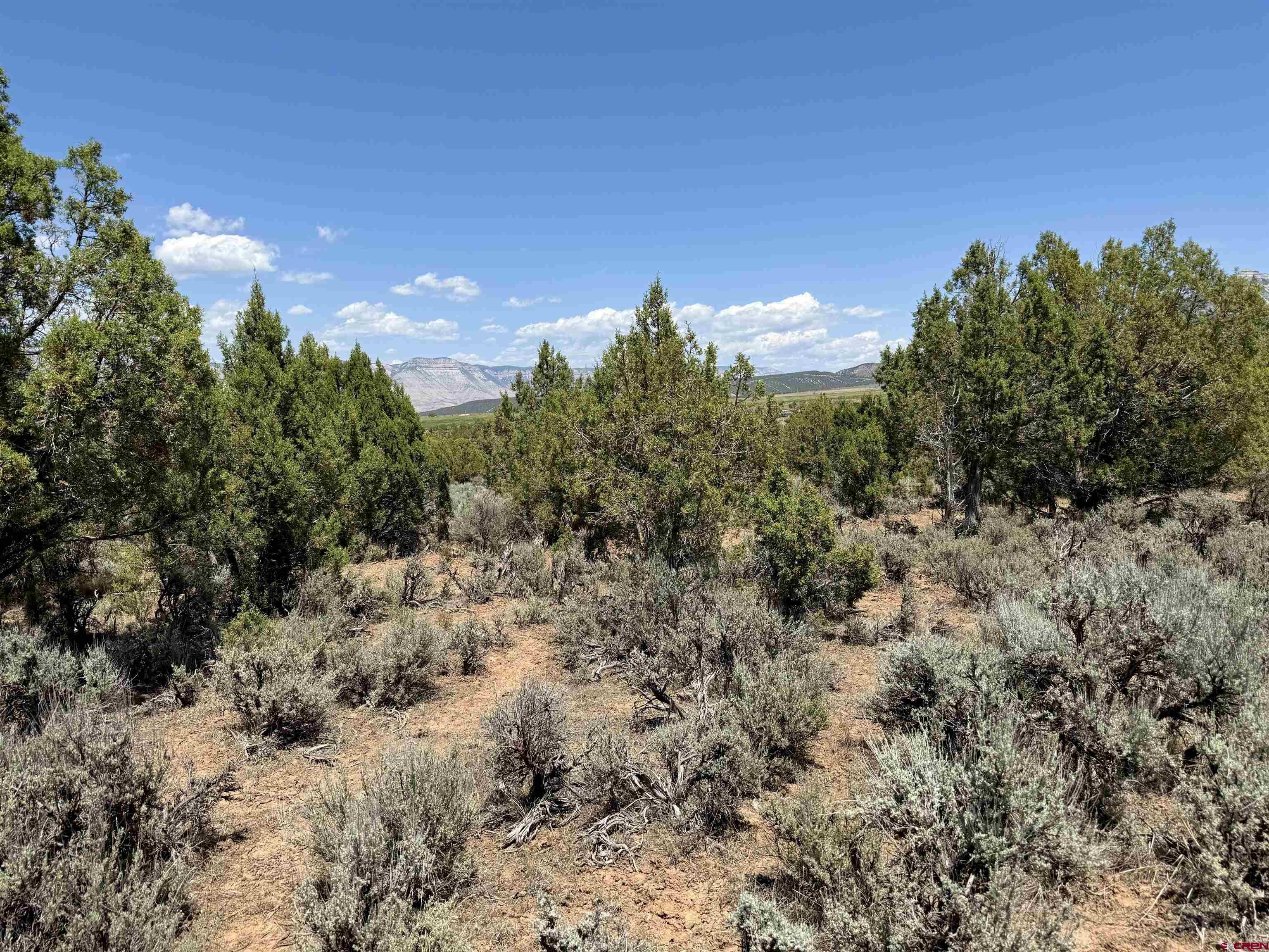 Tbd County Road 306 Parachute, CO 81635 - Photo 18 of 36