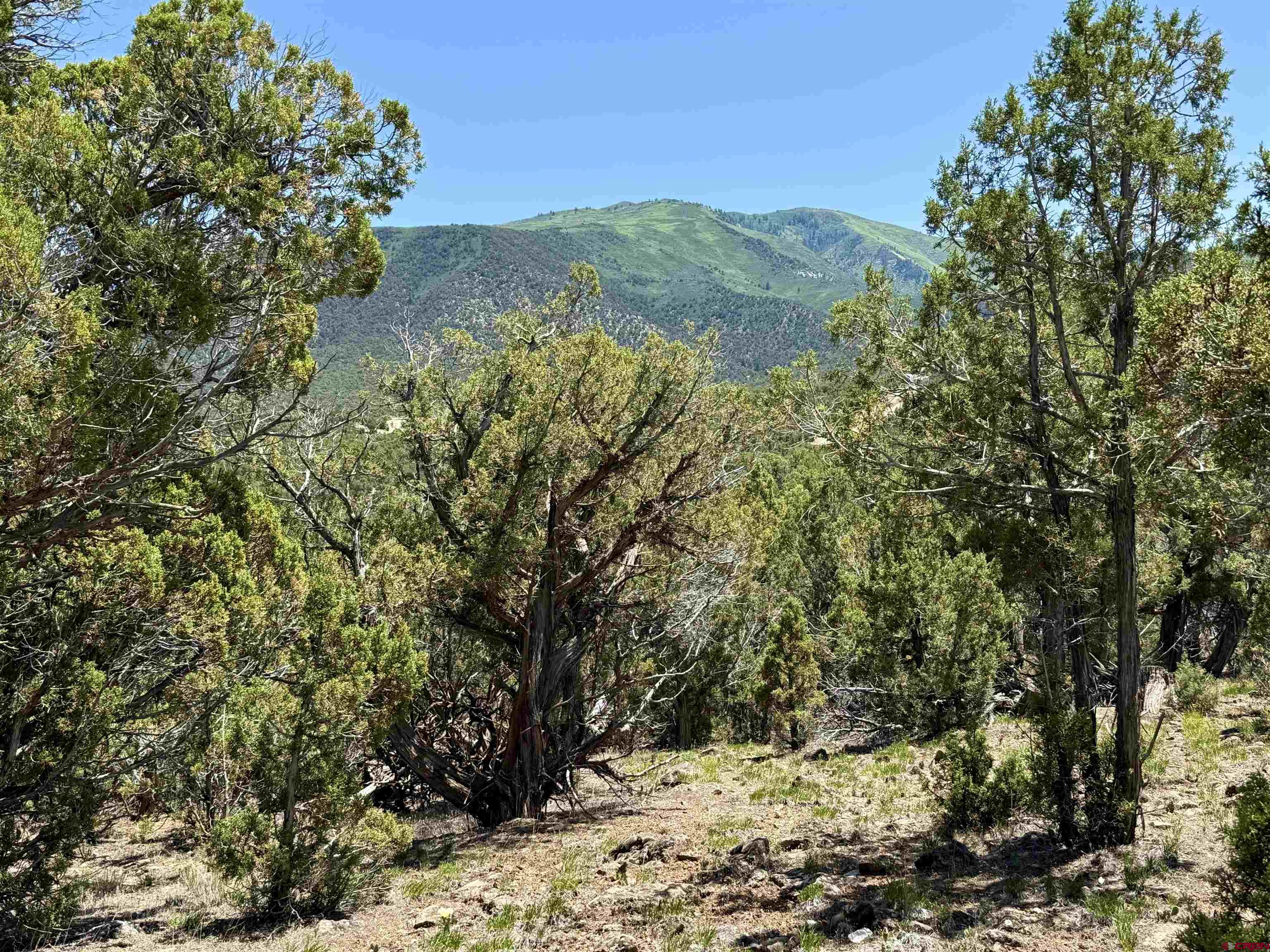 Tbd County Road 306 Parachute, CO 81635 - Photo 26 of 36