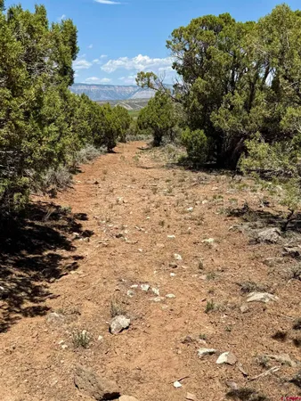 $345,000 | Tbd County Road 306, Parachute, CO 81635