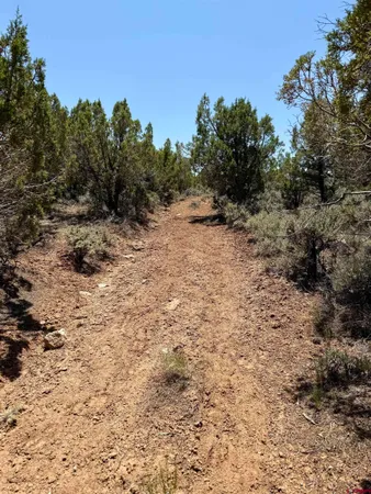 $345,000 | Tbd County Road 306, Parachute, CO 81635