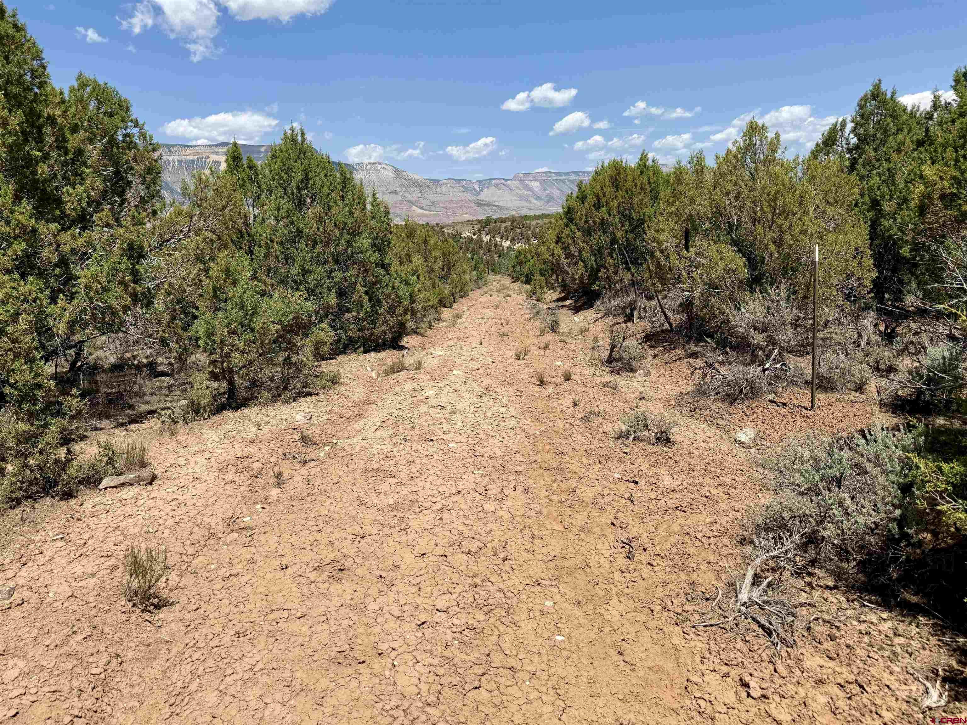 Tbd County Road 306 Parachute, CO 81635 - Photo 4 of 36