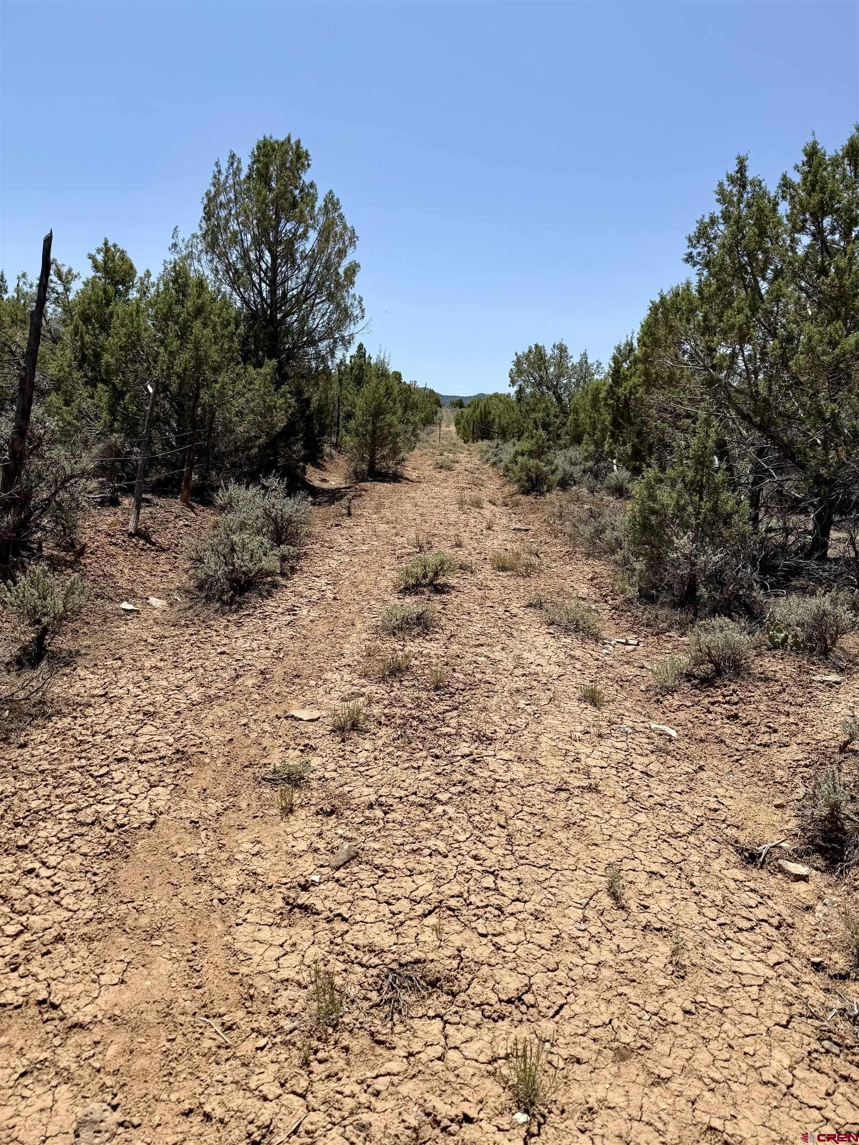 Tbd County Road 306 Parachute, CO 81635 - Photo 5 of 36