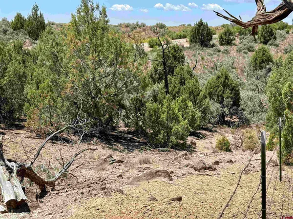$345,000 | Tbd County Road 306, Parachute, CO 81635