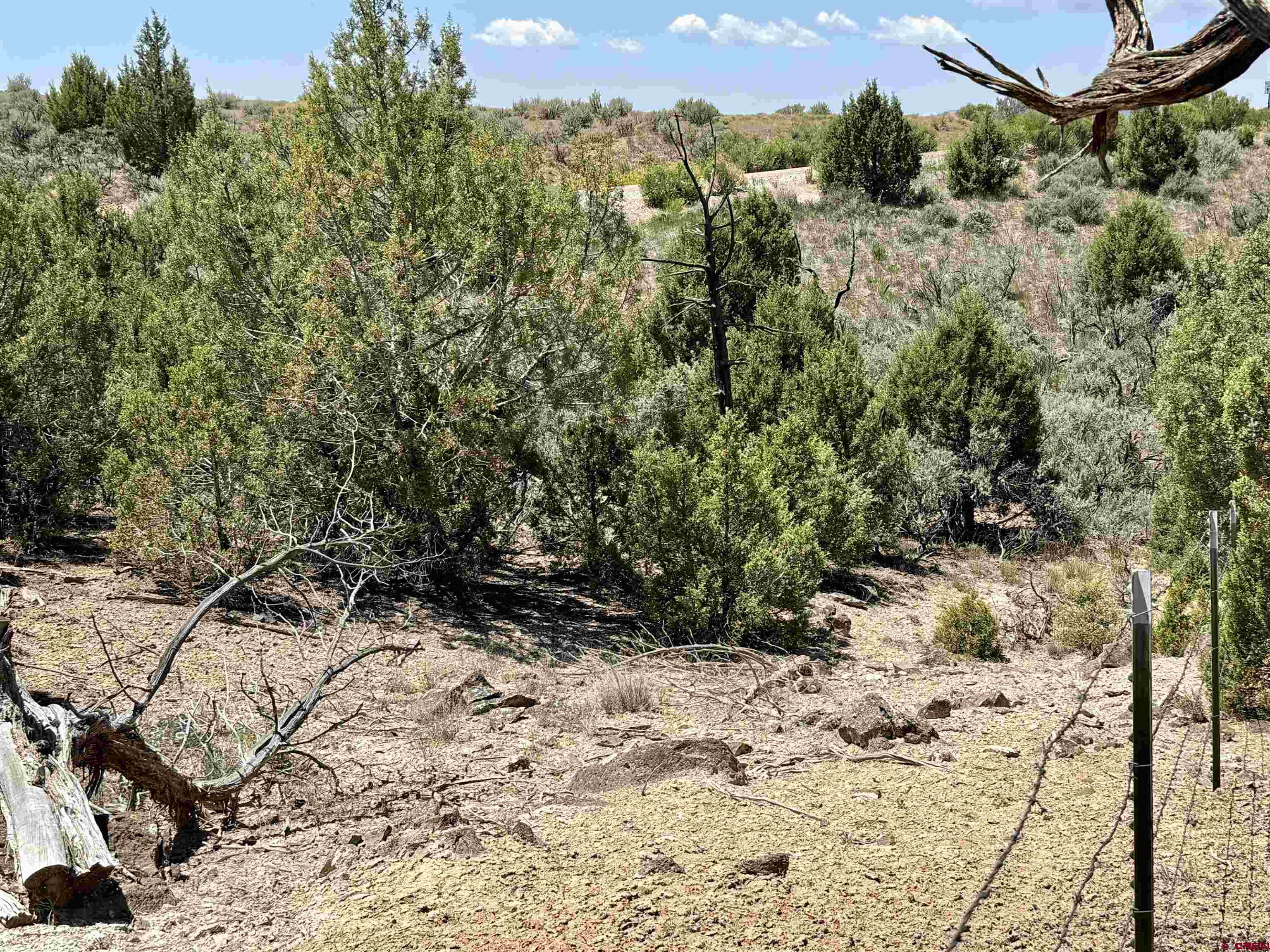 Tbd County Road 306 Parachute, CO 81635 - Photo 8 of 36