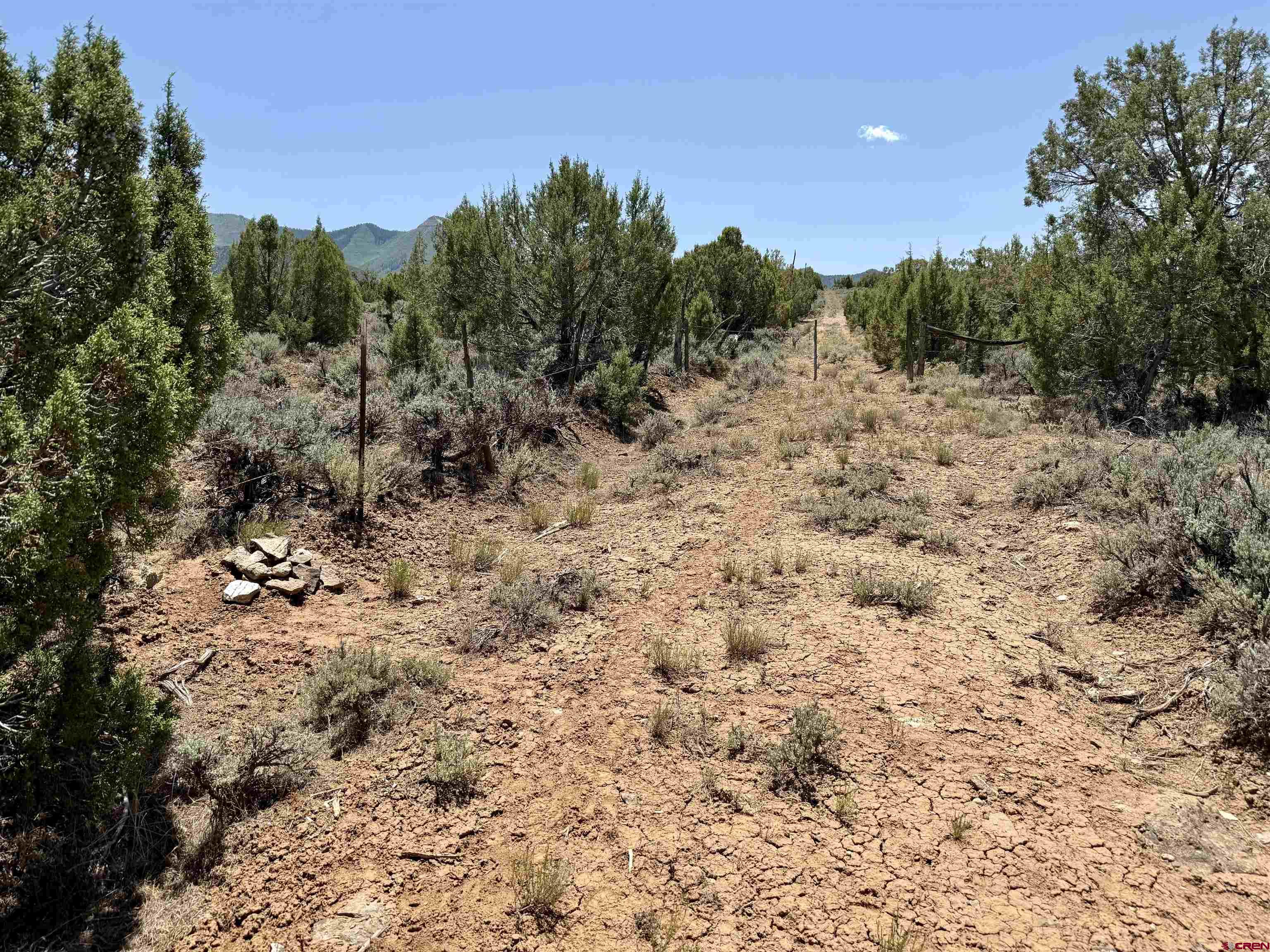 Tbd County Road 306 Parachute, CO 81635 - Photo 9 of 36