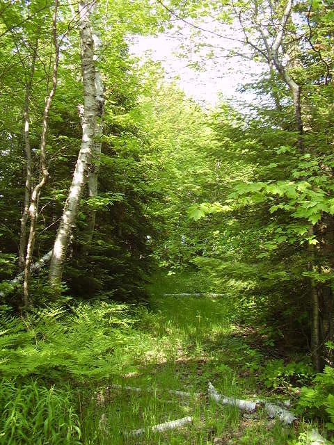 11000 North Whitefish Point Road Paradise, MI 49768 - Photo 5 of 9 Gallery Image 5