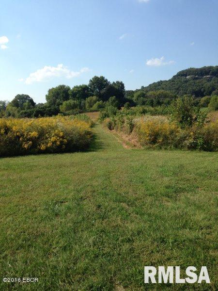 4845 Lick Creek Road Buncombe, IL 62912 - Photo 1 of 5 Gallery Image 1