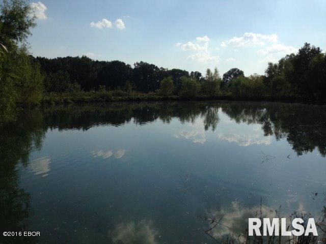 4845 Lick Creek Road Buncombe, IL 62912 - Photo 4 of 5 Gallery Image 4