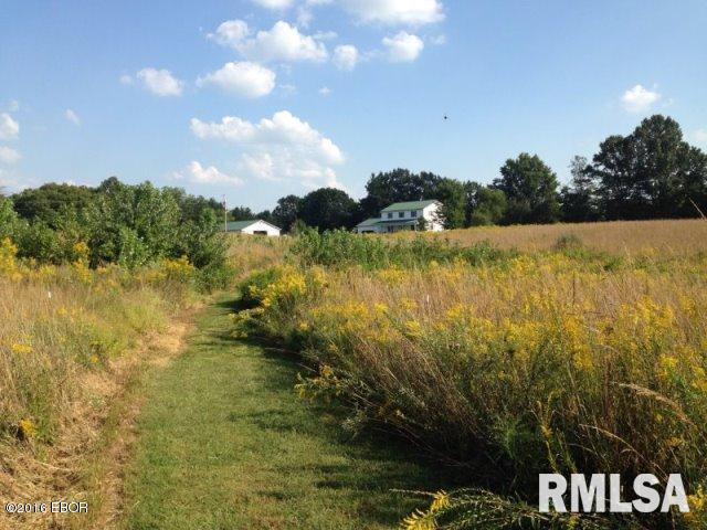 4845 Lick Creek Road Buncombe, IL 62912 - Photo 5 of 5 Gallery Image 5