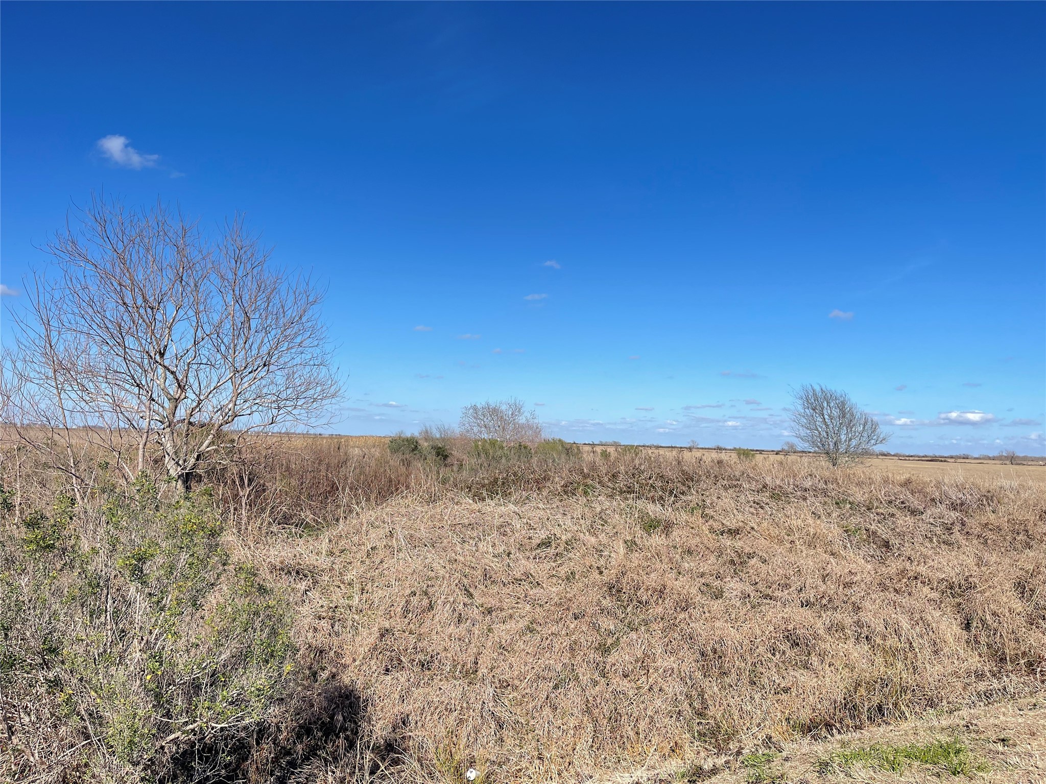 768 Million Dollar Road Palacios, TX 77465 - Photo 46 of 49
