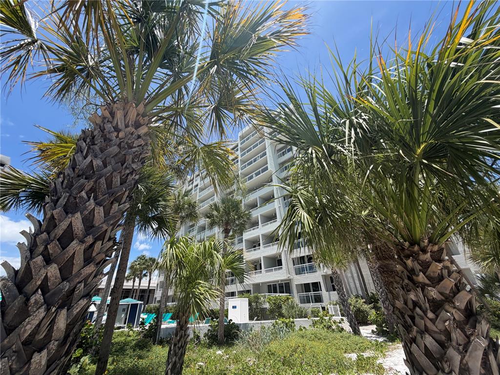 210 Sands Point Road, Unit 2402 Longboat Key, FL 34228 - Photo 5 of 26