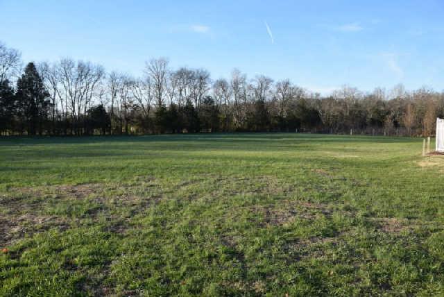 888 Locust Grove Road Watertown, TN 37184 - Photo 17 of 20 Great back yard fully fenced and would be perfect for horses.