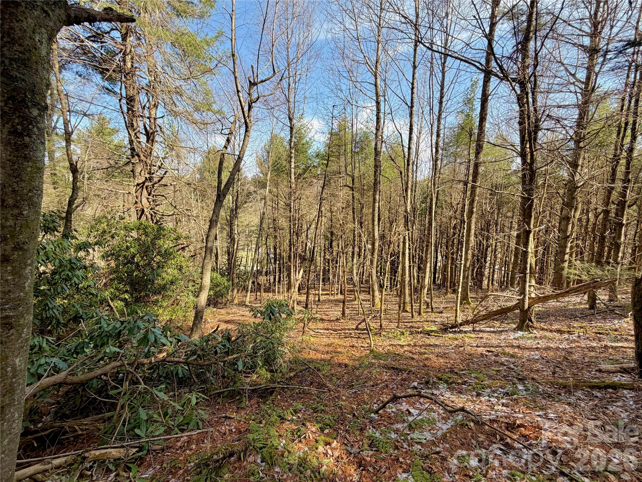 Tbd George Hayes Road, Unit TRACT C Boone, NC 28607 - Photo 12 of 26