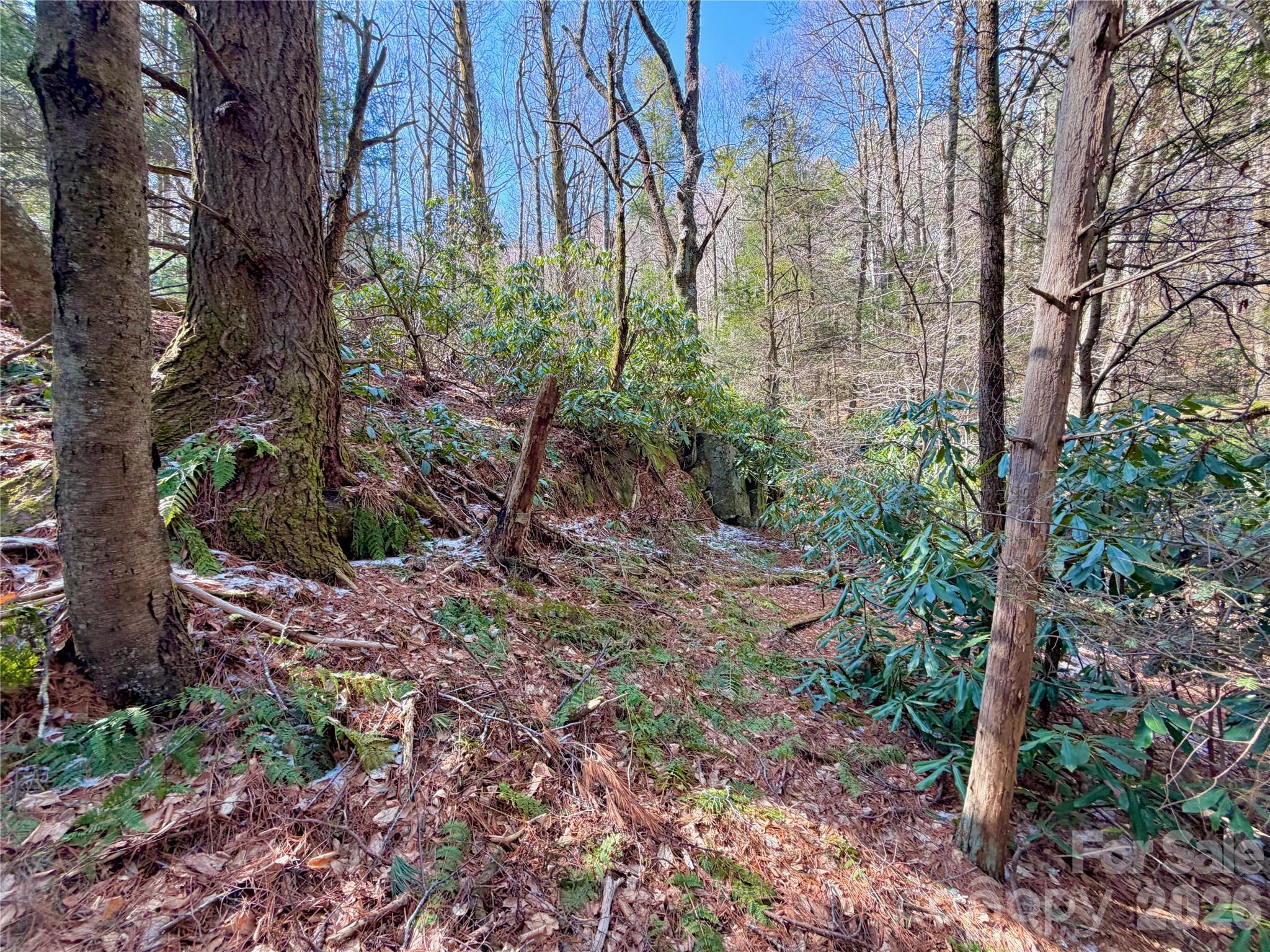 Tbd George Hayes Road, Unit TRACT C Boone, NC 28607 - Photo 13 of 26