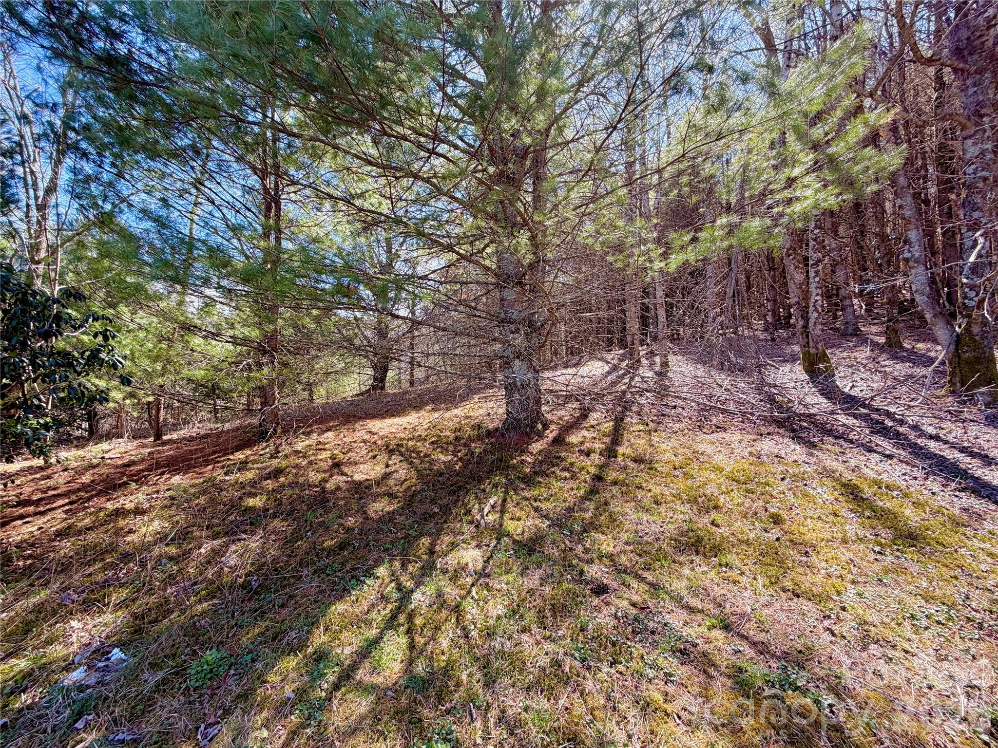 Tbd George Hayes Road, Unit TRACT C Boone, NC 28607 - Photo 17 of 25