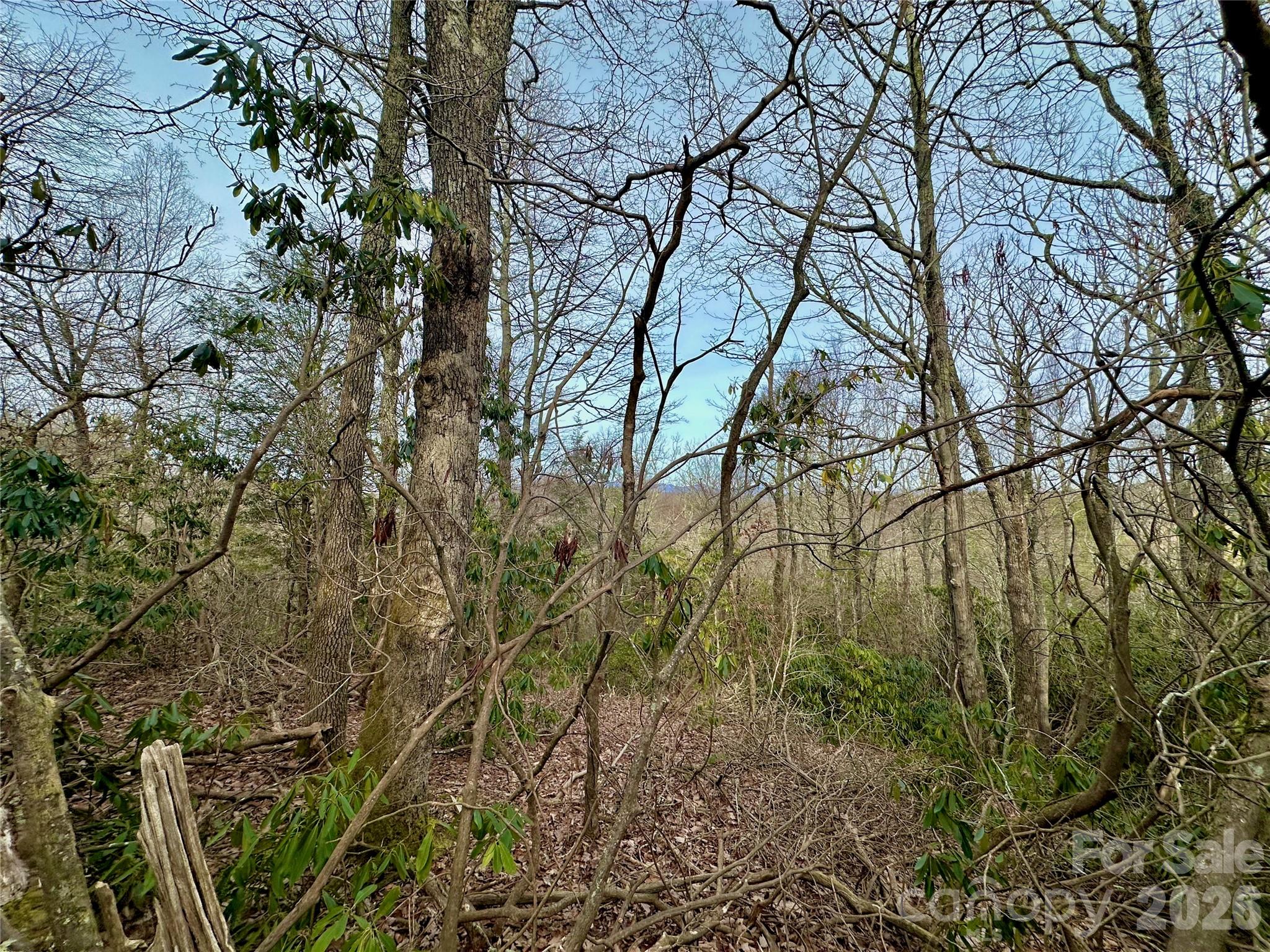 Tbd George Hayes Road, Unit TRACT C Boone, NC 28607 - Photo 17 of 26