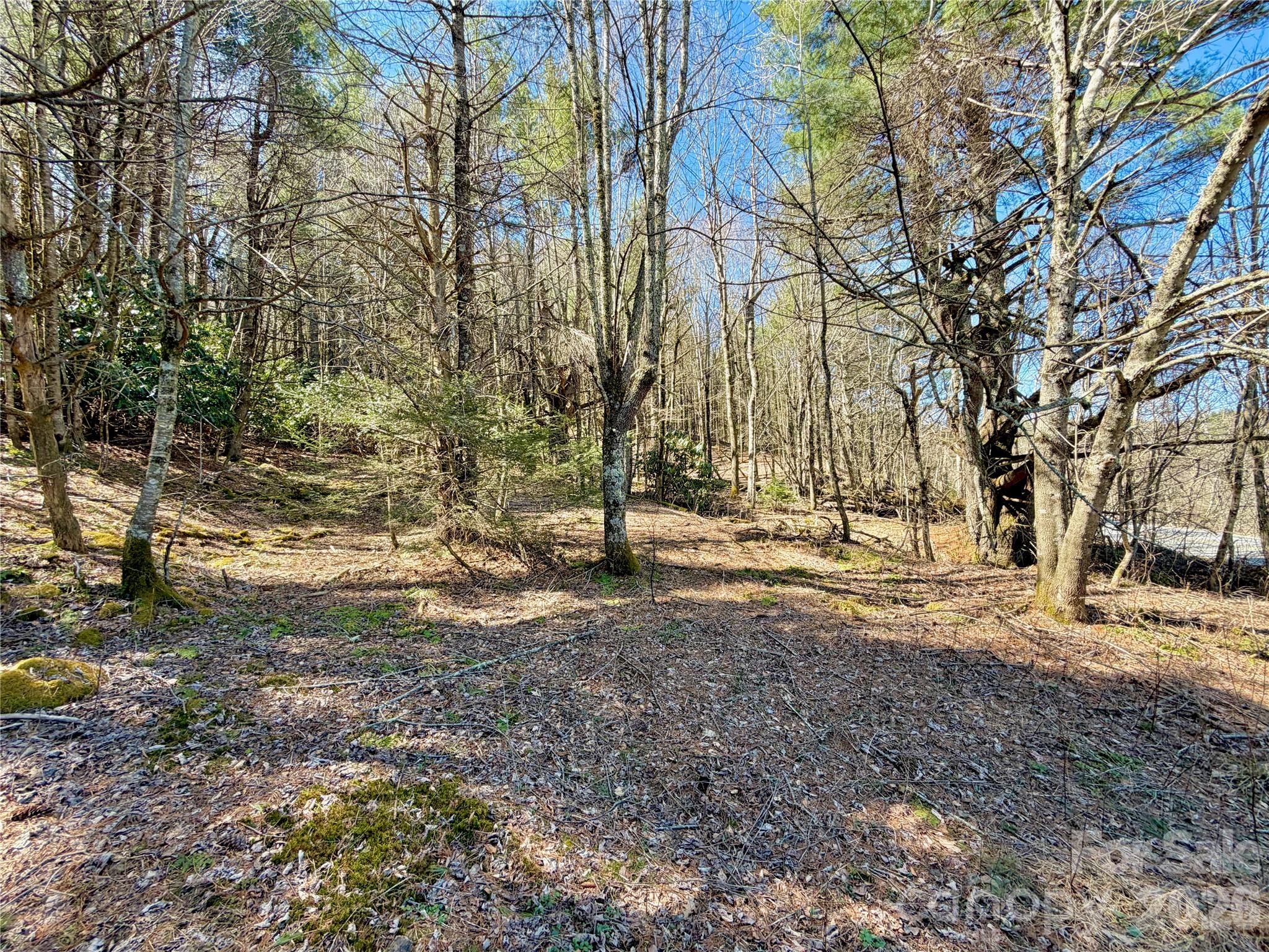 Tbd George Hayes Road, Unit TRACT C Boone, NC 28607 - Photo 19 of 26