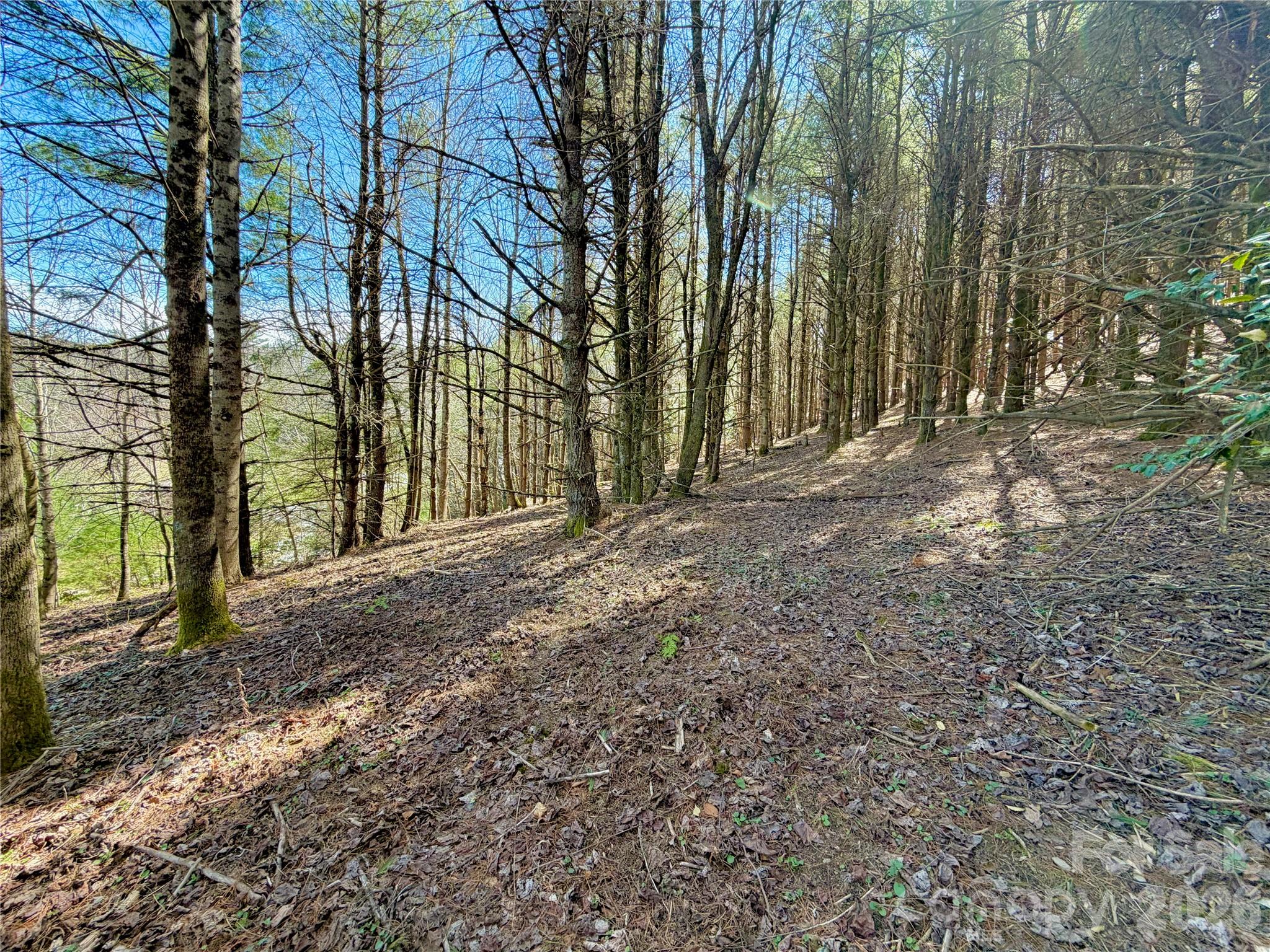 Tbd George Hayes Road, Unit TRACT C Boone, NC 28607 - Photo 19 of 25