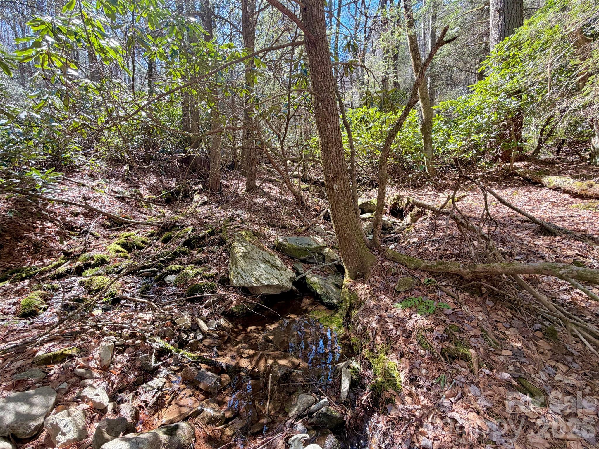 Tbd George Hayes Road, Unit TRACT C Boone, NC 28607 - Photo 20 of 25