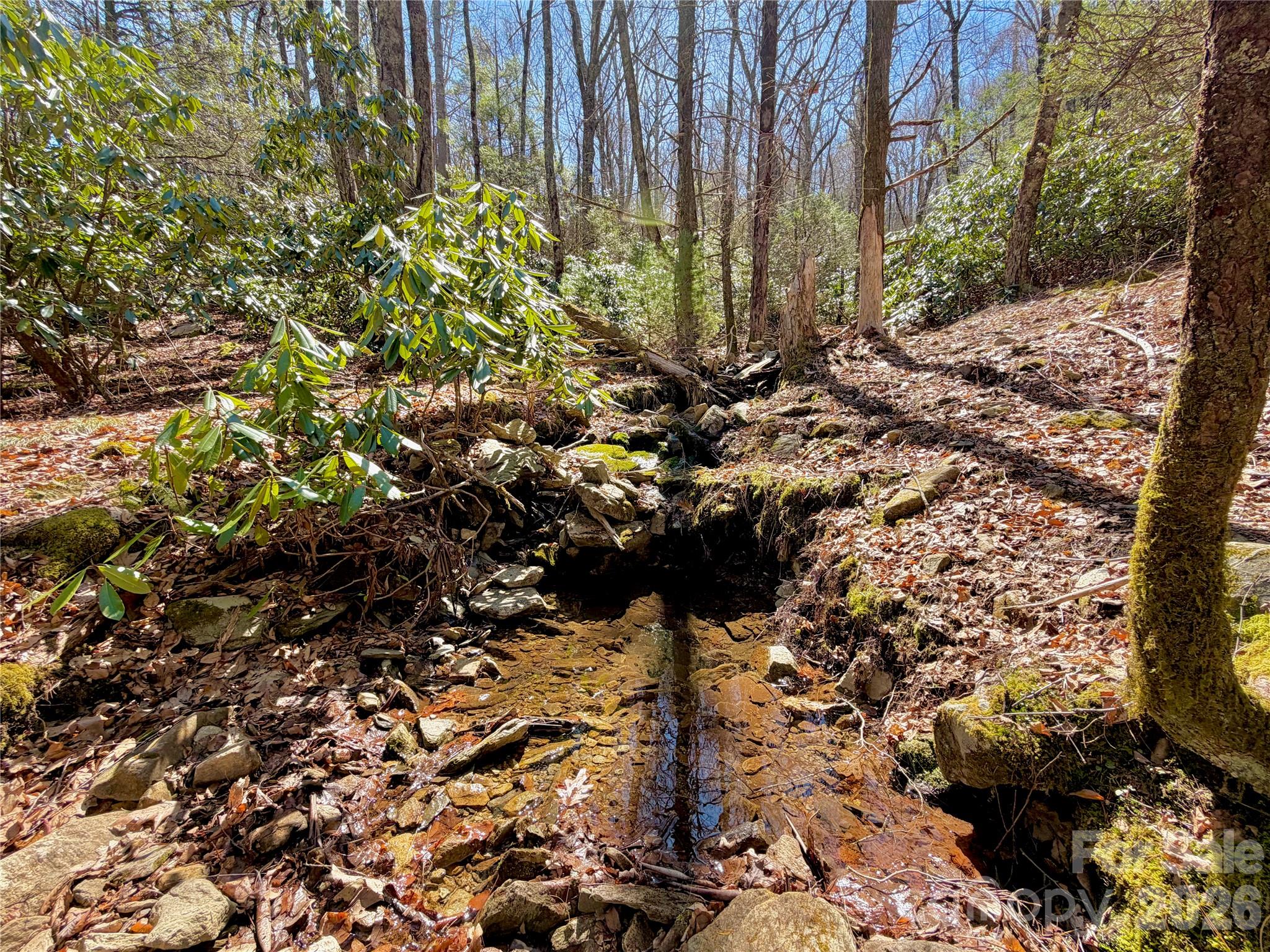 Tbd George Hayes Road, Unit TRACT C Boone, NC 28607 - Photo 2 of 25