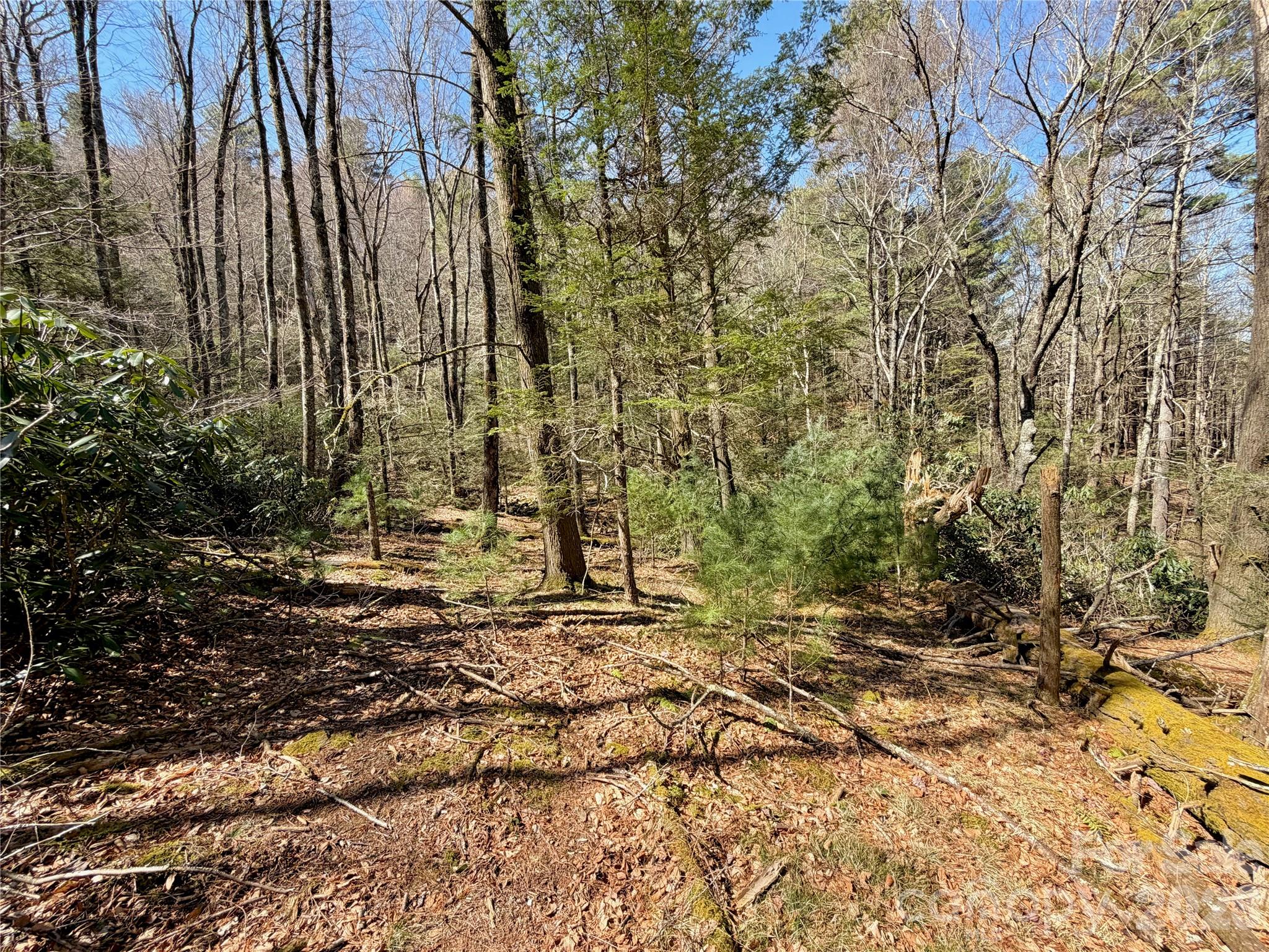 Tbd George Hayes Road, Unit TRACT C Boone, NC 28607 - Photo 22 of 26