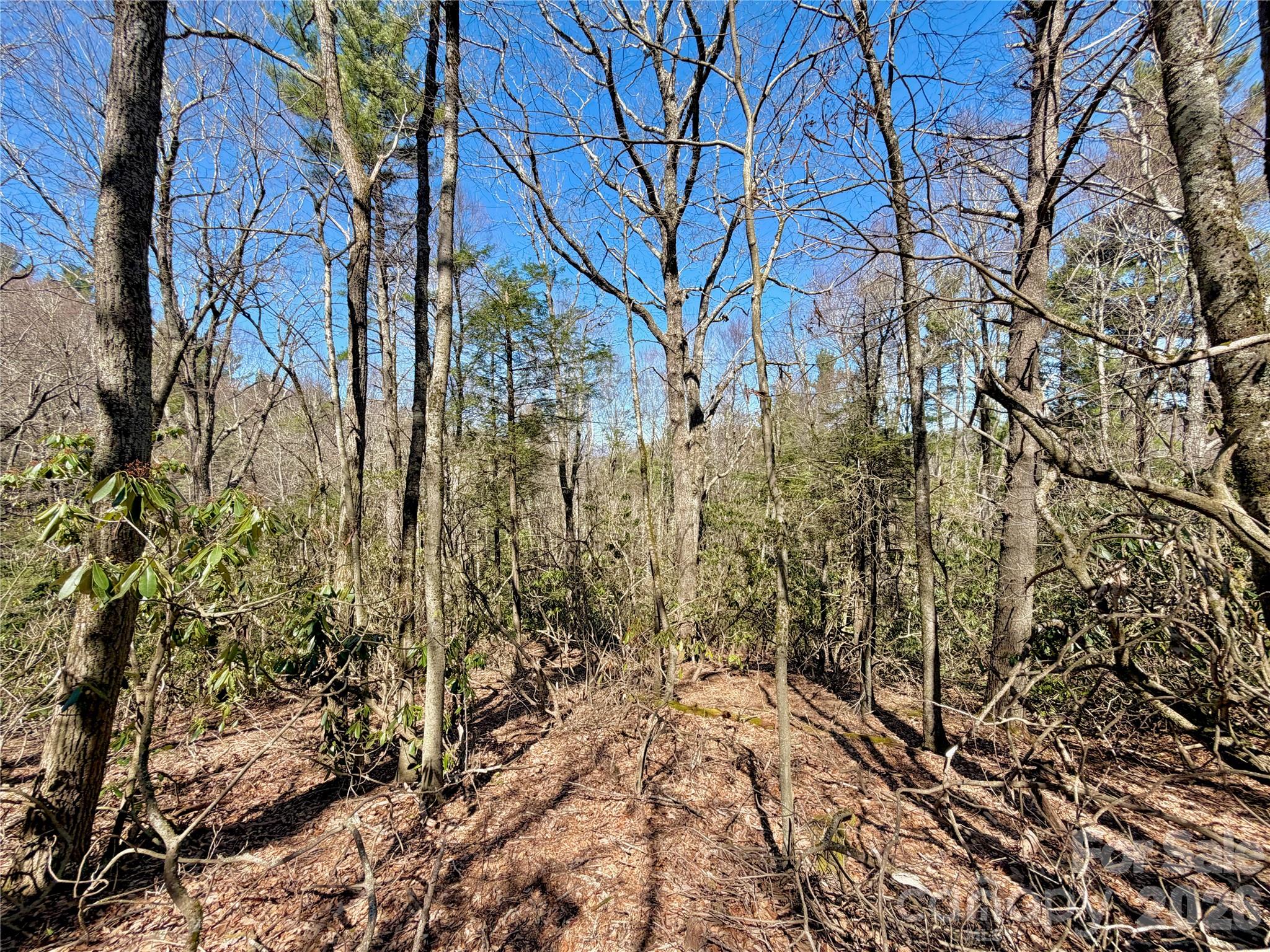 Tbd George Hayes Road, Unit TRACT C Boone, NC 28607 - Photo 23 of 26