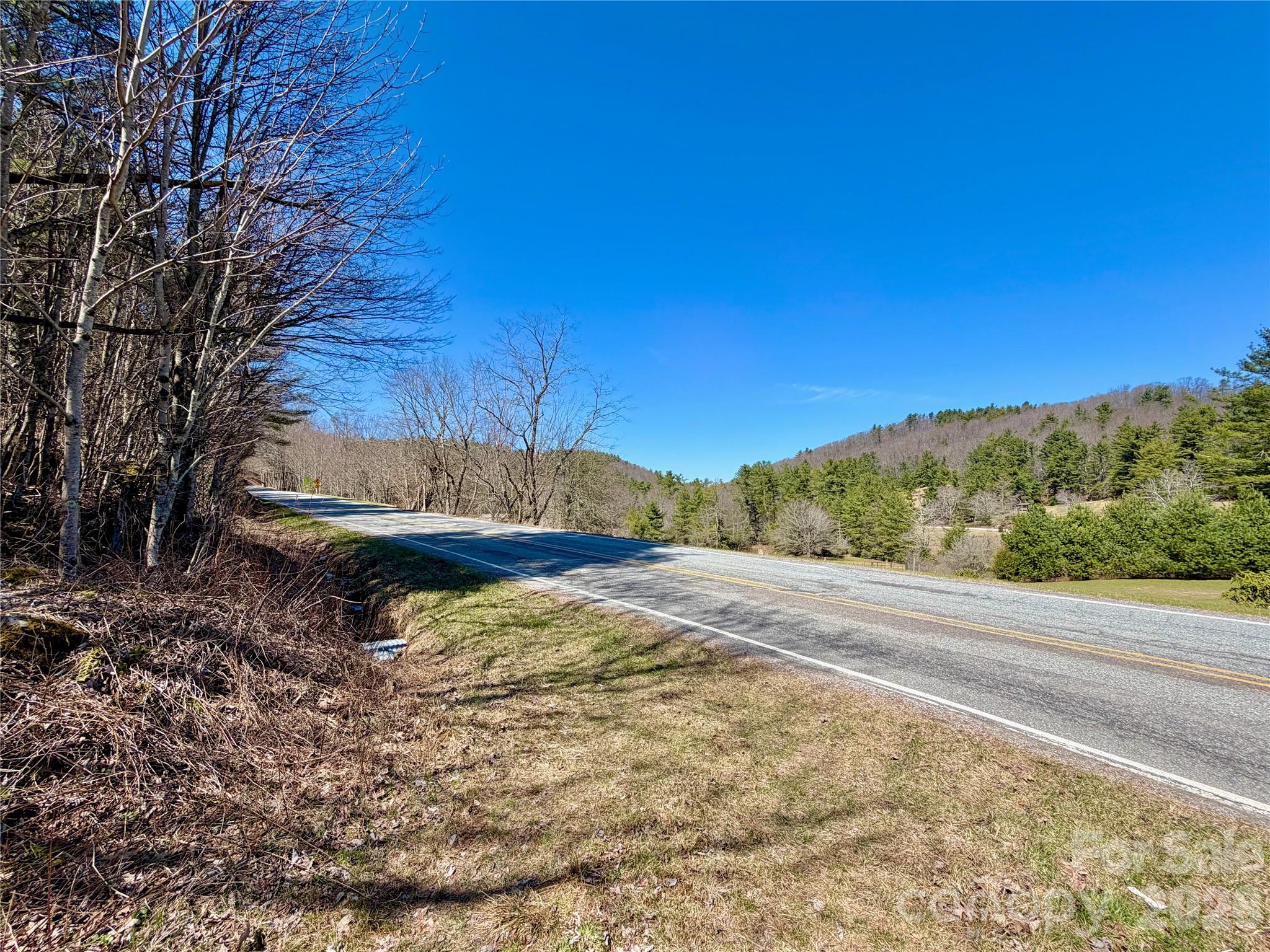 Tbd George Hayes Road, Unit TRACT C Boone, NC 28607 - Photo 6 of 26