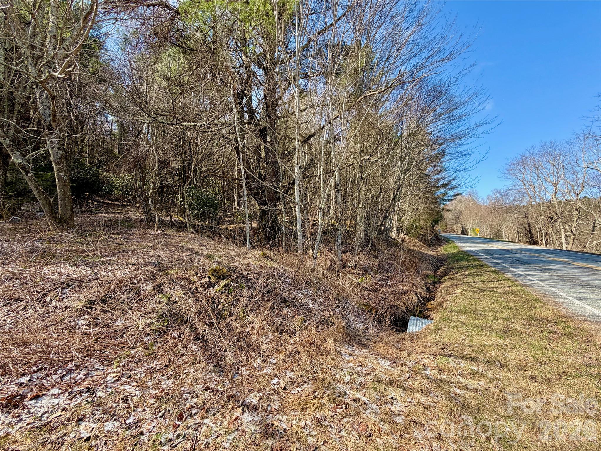 Tbd George Hayes Road, Unit TRACT C Boone, NC 28607 - Photo 9 of 25