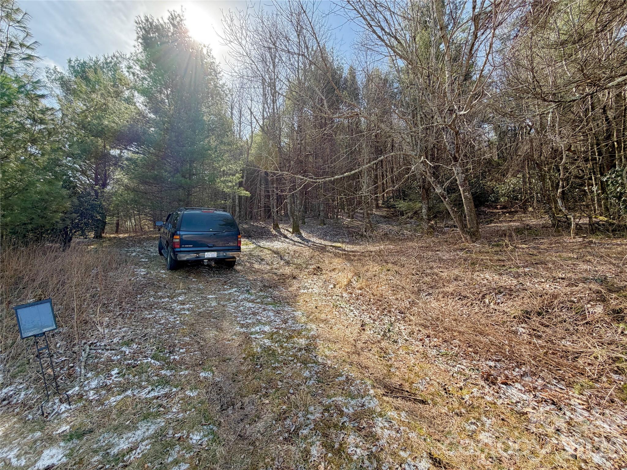Tbd George Hayes Road, Unit TRACT C Boone, NC 28607 - Photo 10 of 25