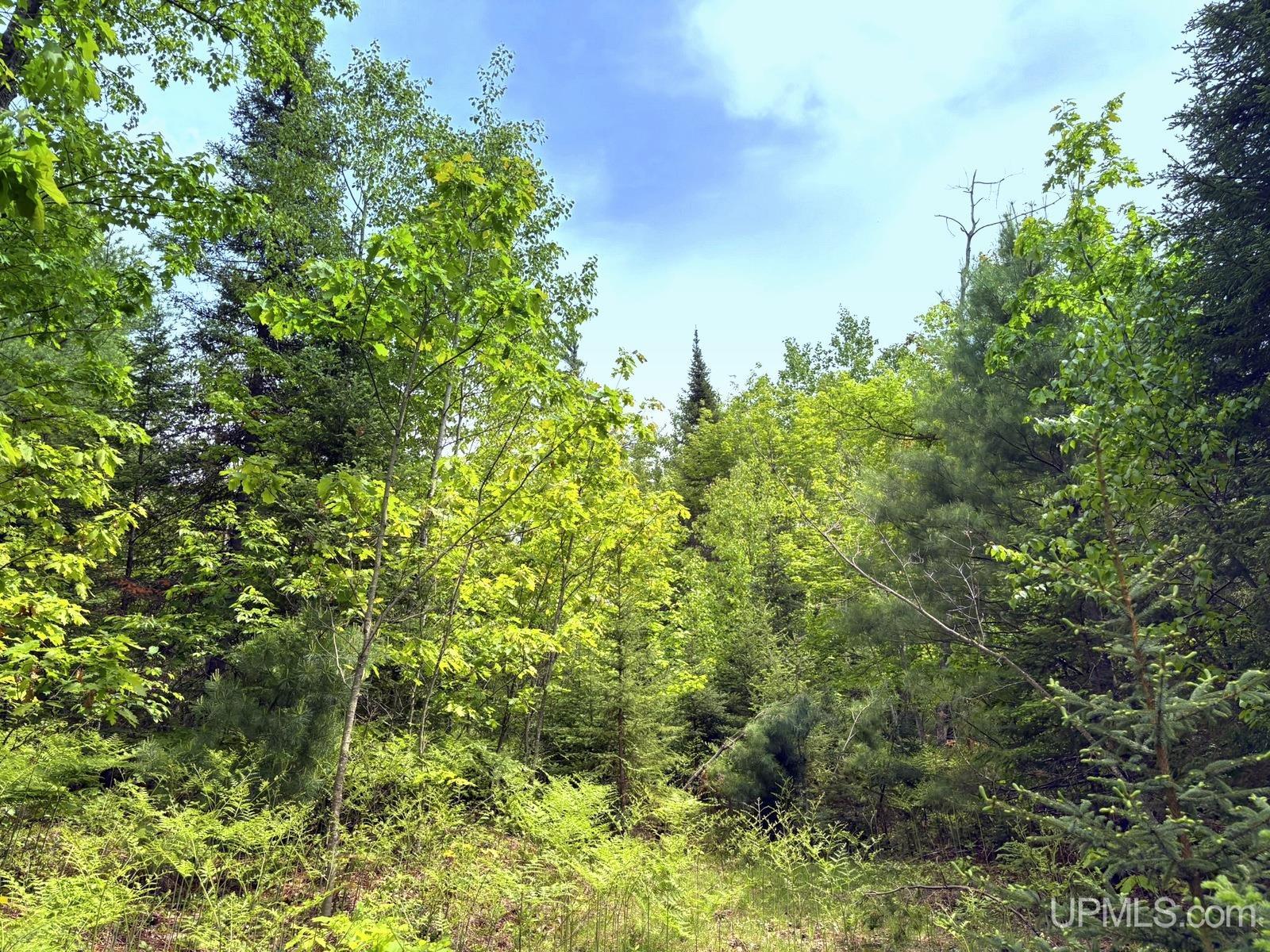 Tbd Tbd Co Road Gwinn, MI 49841 - Photo 3 of 58