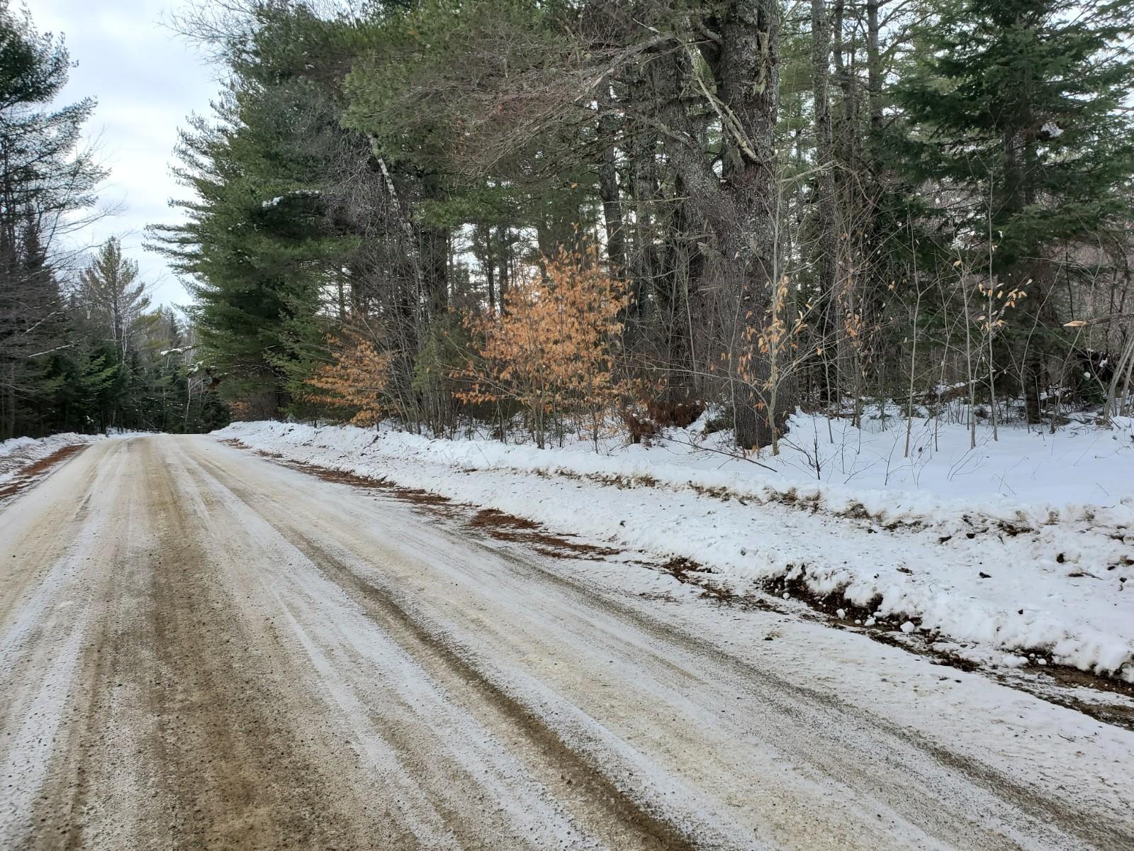 Tbd Tbd North Road Lee, ME 04455 - Photo 3 of 6 20210112_125945
