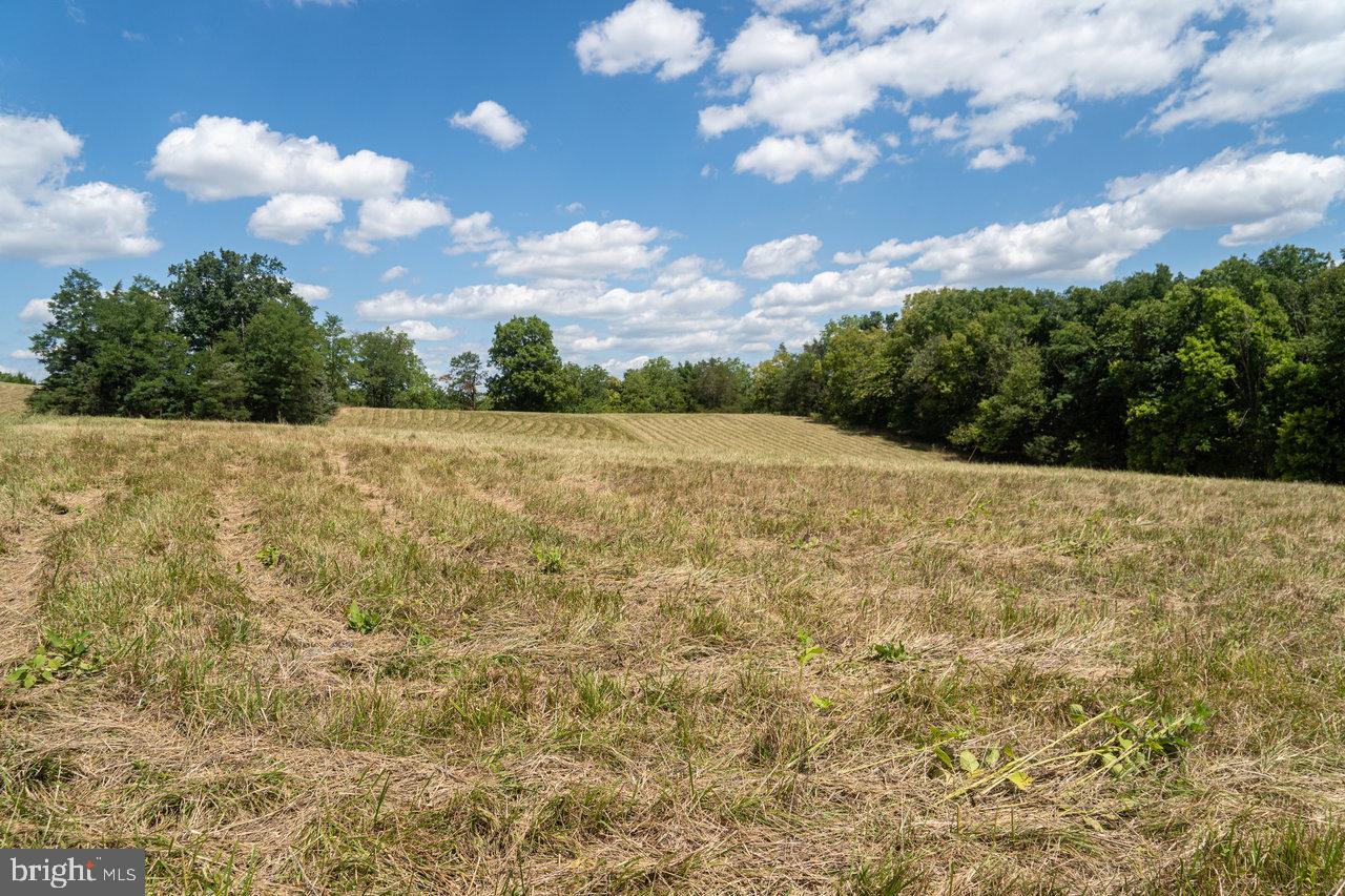 8 Galloway Spring Lane Shenandoah, VA 22849 - Photo 5 of 10 Gallery Image 5