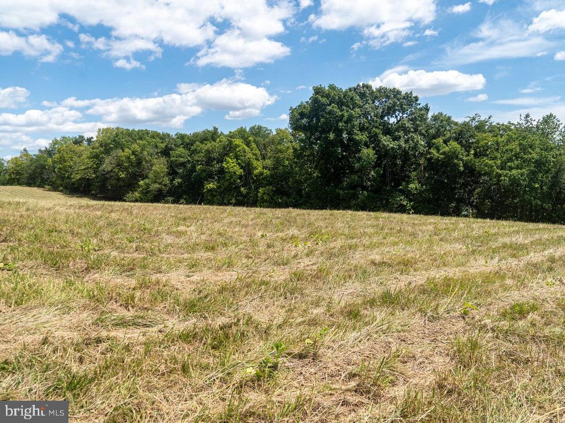 8 Galloway Spring Lane Shenandoah, VA 22849 - Photo 10 of 10 Gallery Image 10