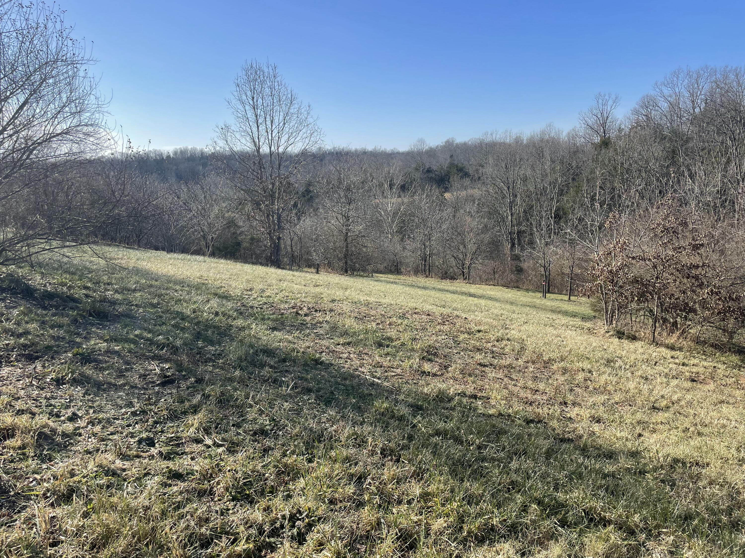 1078 Hamilton Road Brooksville, KY 41004 - Photo 30 of 50