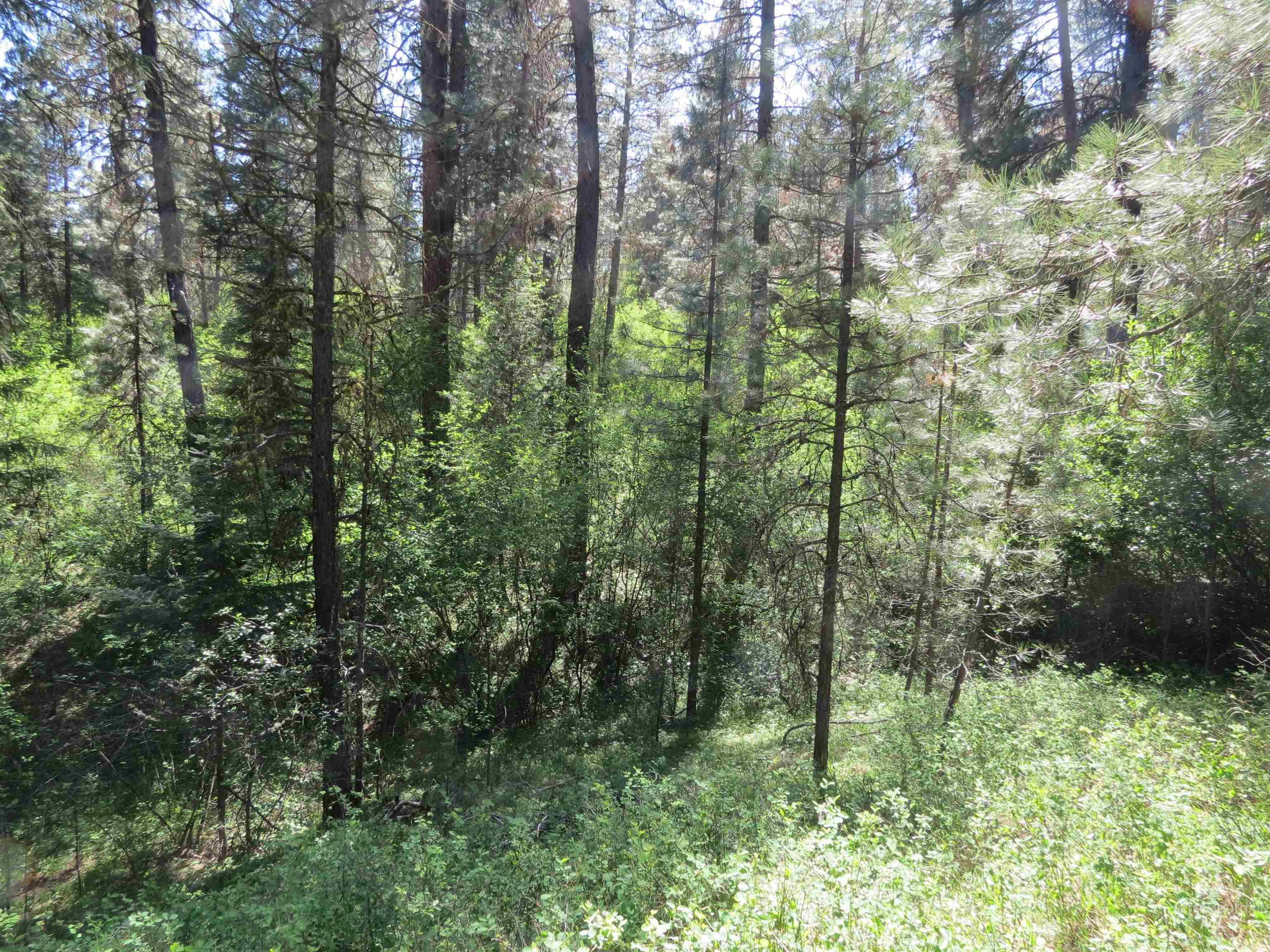Parcel C Caseys Road Garden Valley, ID 83622 - Photo 14 of 20