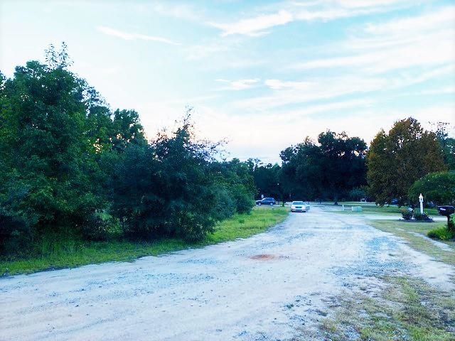 Lot 1 Ivanhoe Place Hamer, SC 29547 - Photo 6 of 10