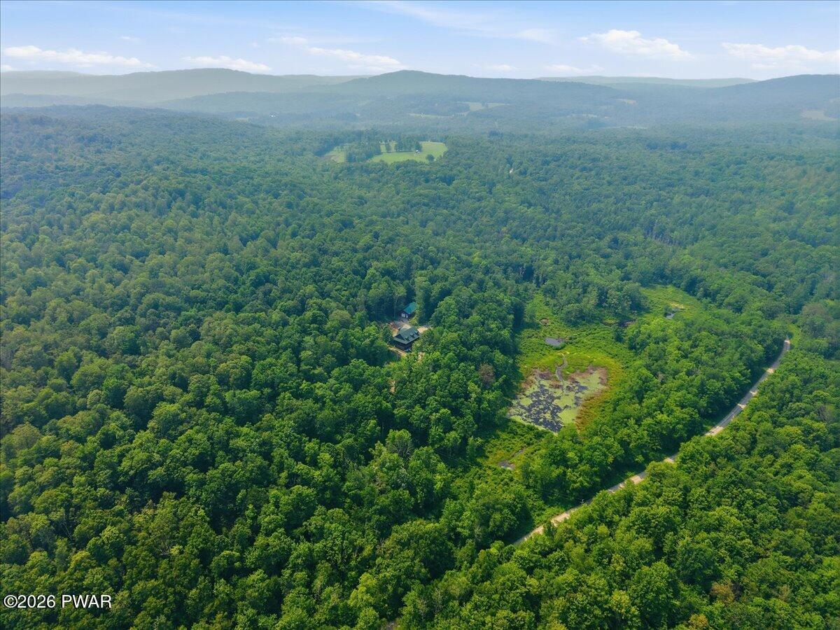 248 Moody Road Pleasant Mount, PA 18453 - Photo 79 of 100