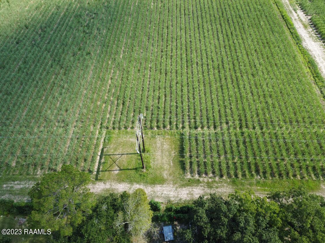 Tbd West Menard Road Duson, LA 70529 - Photo 5 of 7 W Menard Rd Land Photo 6
