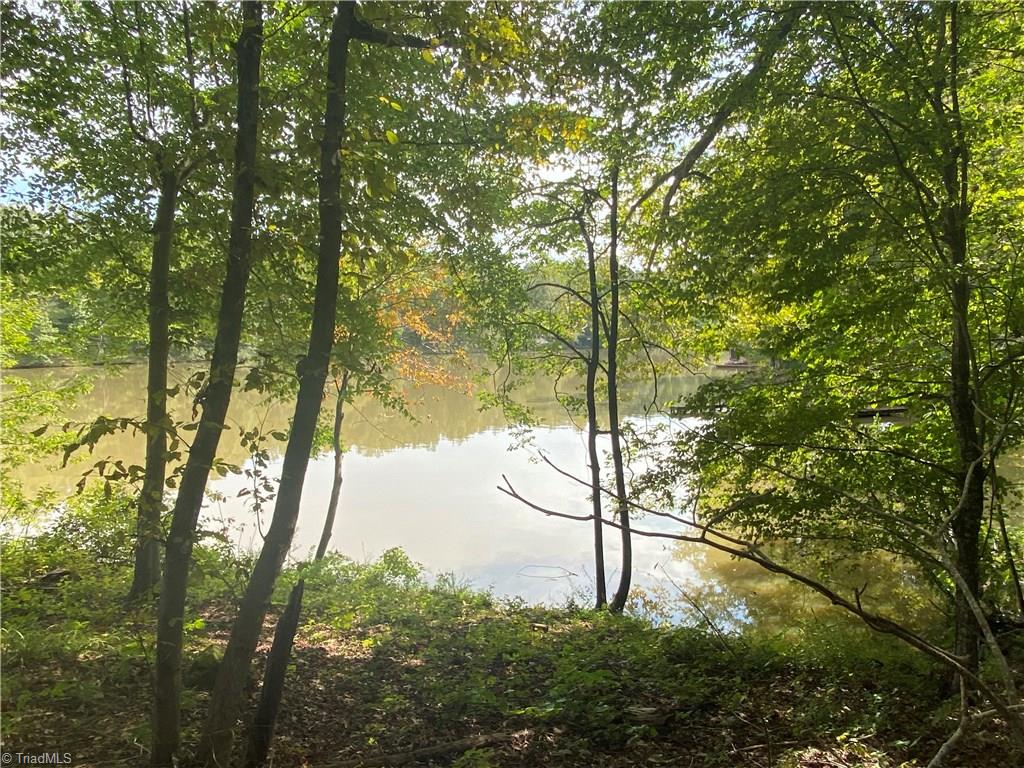 13 Hyco Hills Road Semora, NC 27343 - Photo 3 of 6 Gallery Image 3