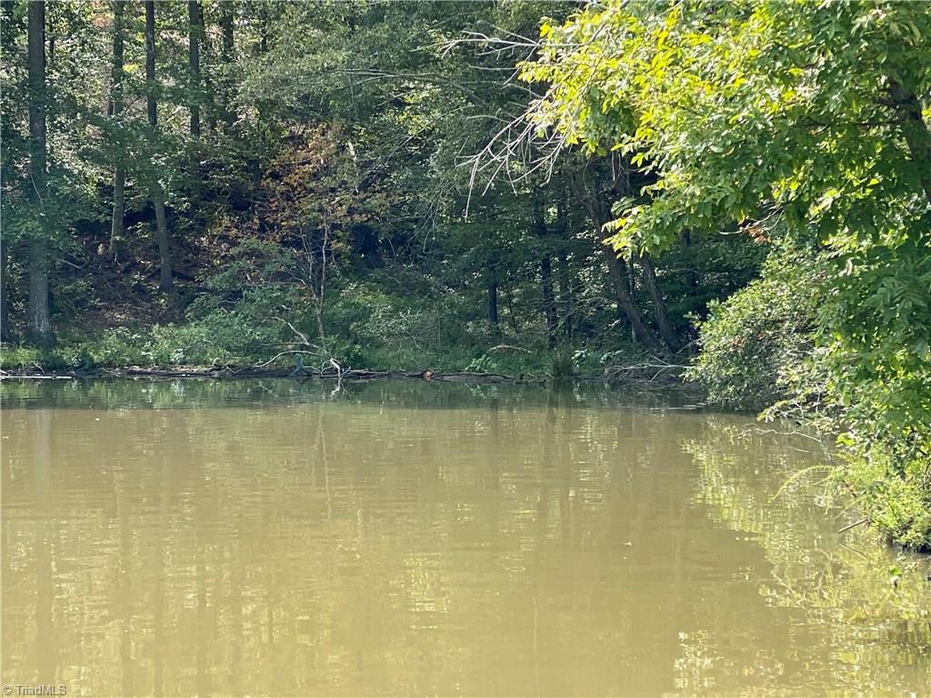 13 Hyco Hills Road Semora, NC 27343 - Photo 6 of 6 Gallery Image 6