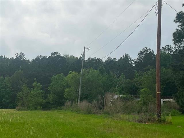 1231 Hooper Road Pineville, LA 71360 - Photo 4 of 5