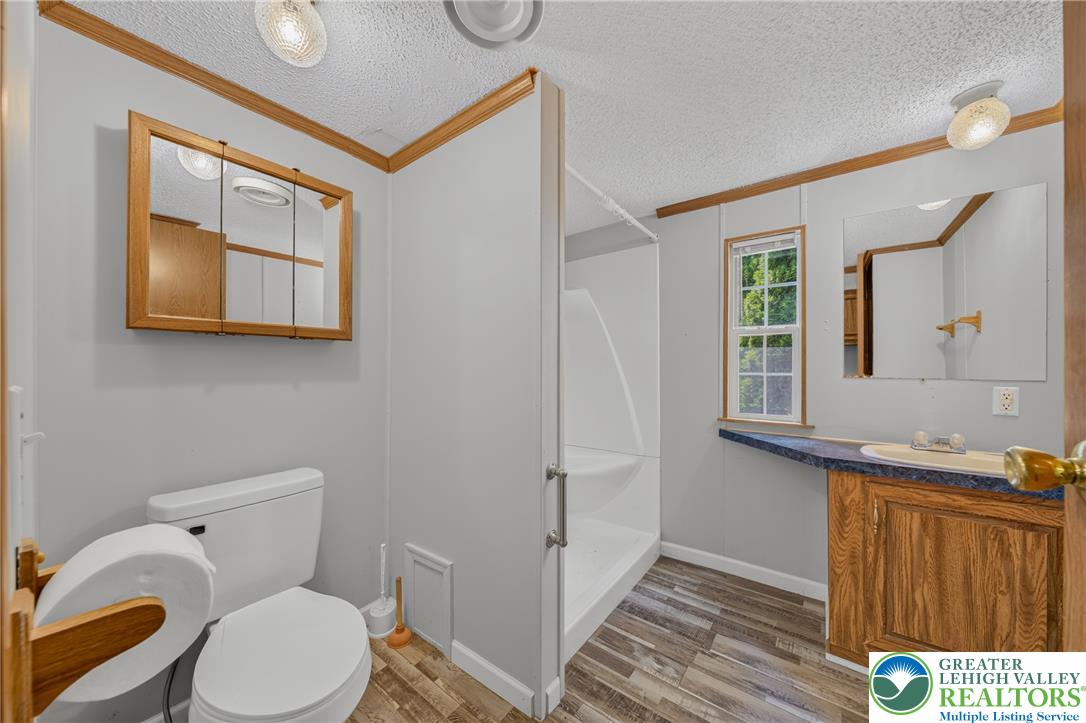 2674 Williams Road Danielsville, PA 18038 - Photo 24 of 31 Functional bathroom featuring a shower stall, toilet, and vanity with a mirror above.