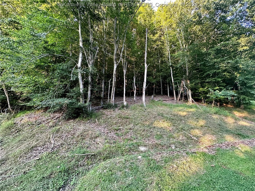 12 Hainer Branch Road Chapmanville, WV 25508 - Photo 16 of 16 Gallery Image 16