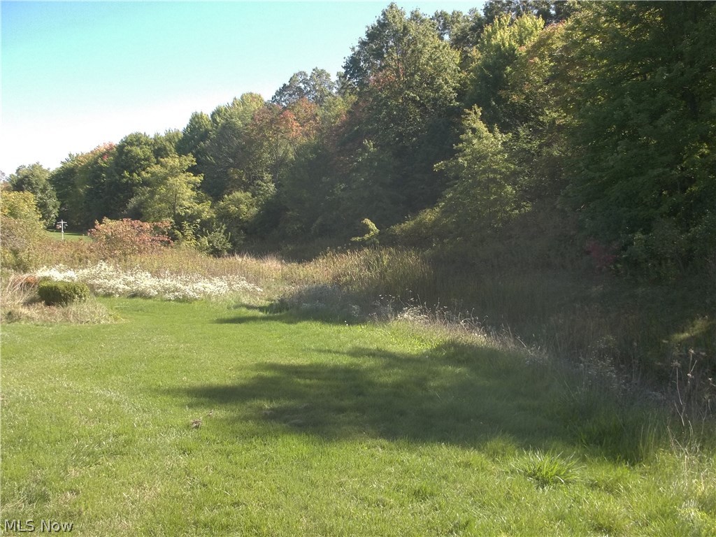 603 South Raccoon Road, Unit 15 Youngstown, OH 44515 - Photo 7 of 25 Gallery Image 7