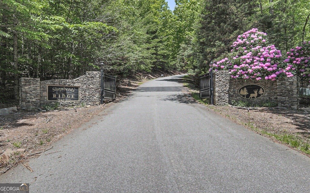 366 Shepherds Lane Morganton, GA 30560 - Photo 11 of 79 a pathway to a house with a street