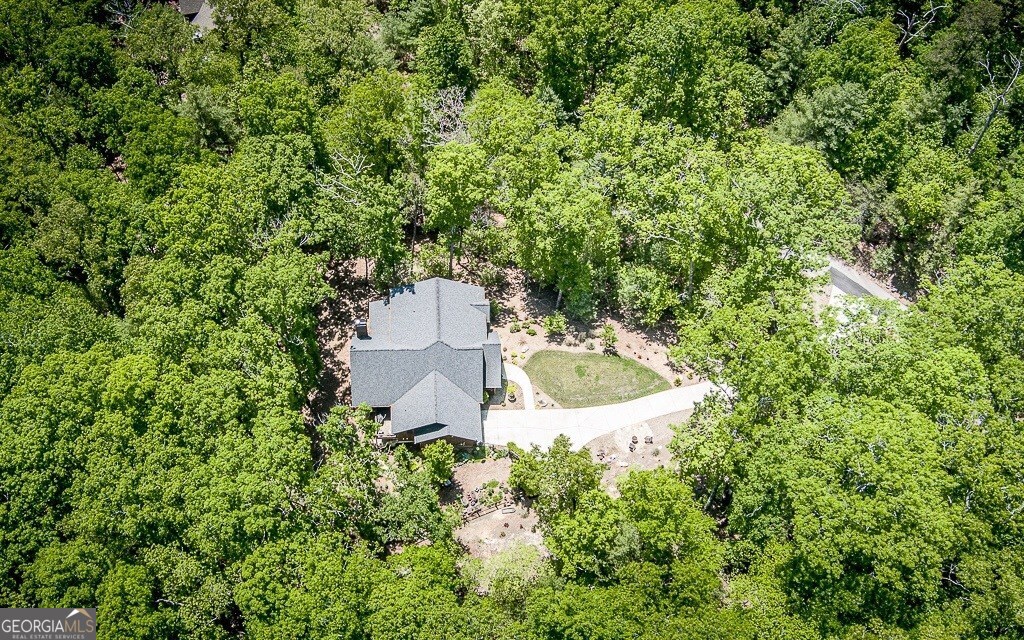 366 Shepherds Lane Morganton, GA 30560 - Photo 13 of 79