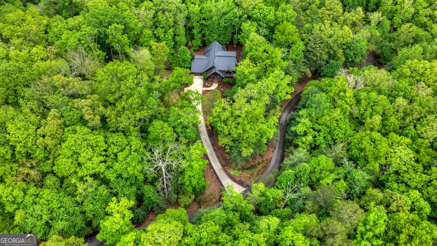 366 Shepherds Lane Morganton, GA 30560 - Photo 58 of 79 an aerial view of residential house with outdoor space and trees all around